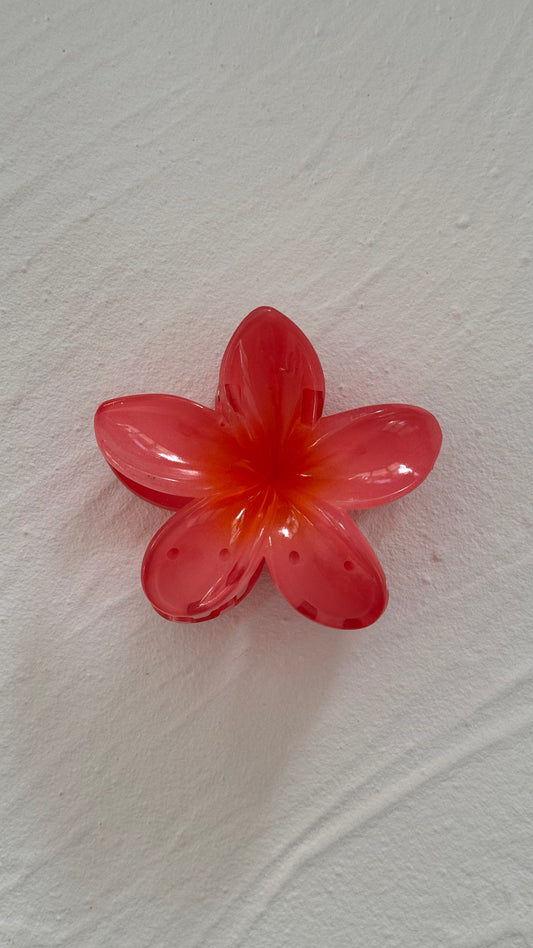 Frangipani Clip Paradiso