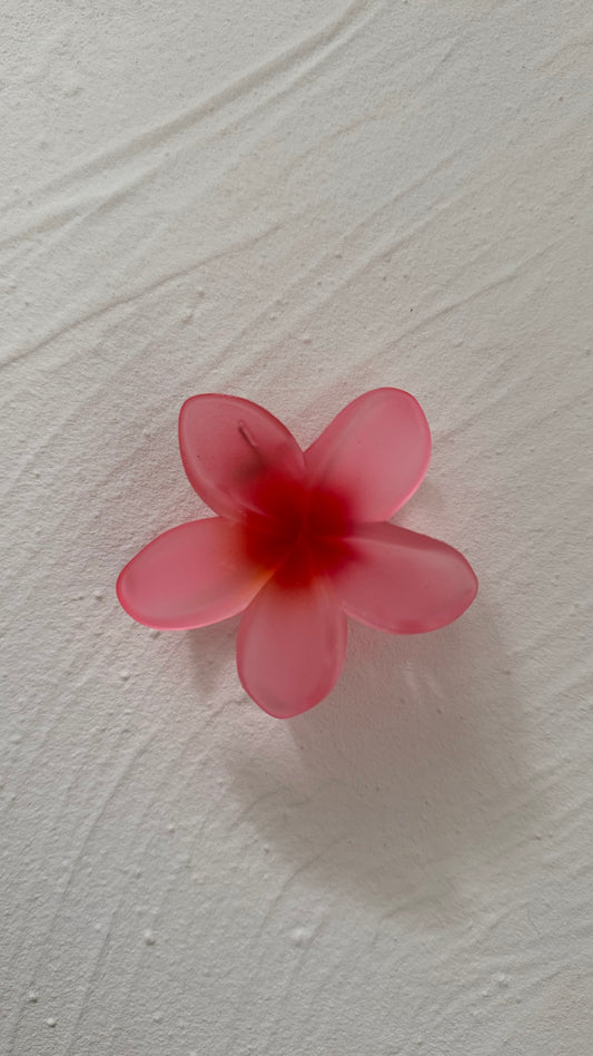 Frangipani Clip Translucent Baby Pink