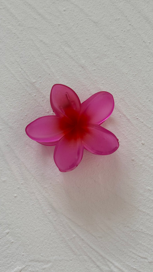 Frangipani Clip Translucent Hot Pink