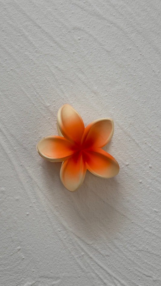 Frosted Orange Frangipani Clip