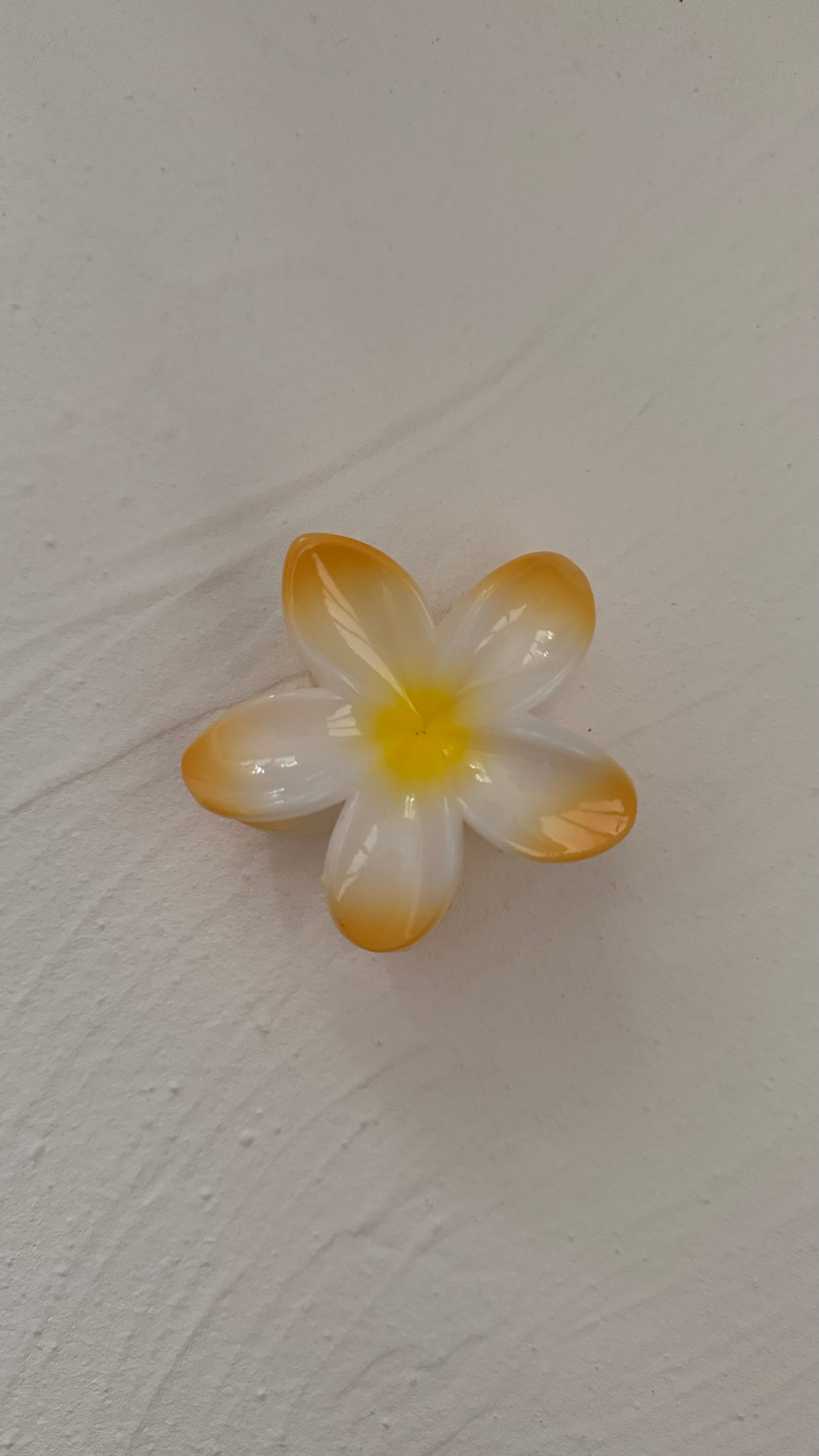 Frangipani Clip Multi Yellow
