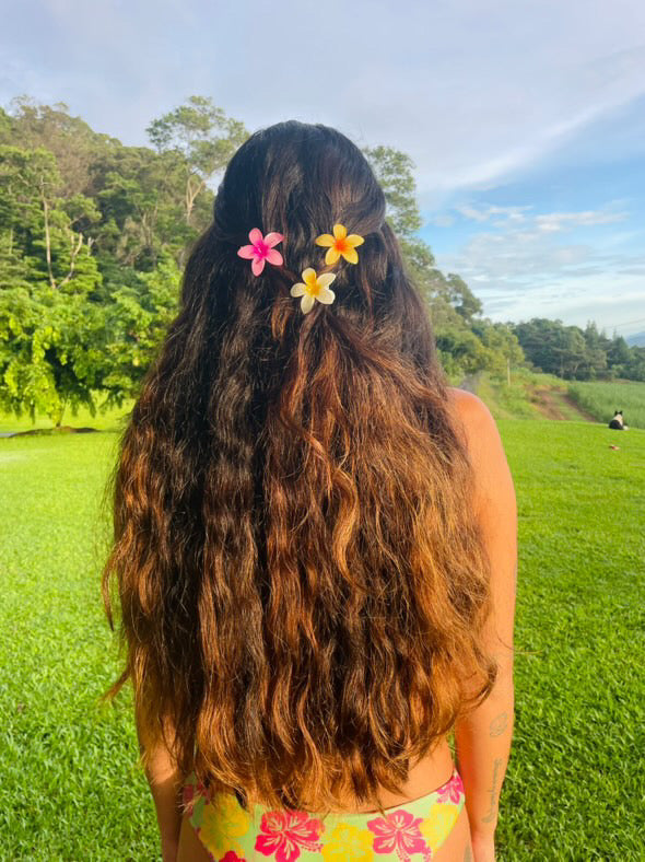 Mini Frangipani Flower Clips