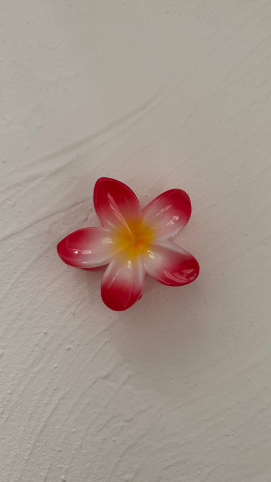 Frangipani Clip Multi Deep Pink