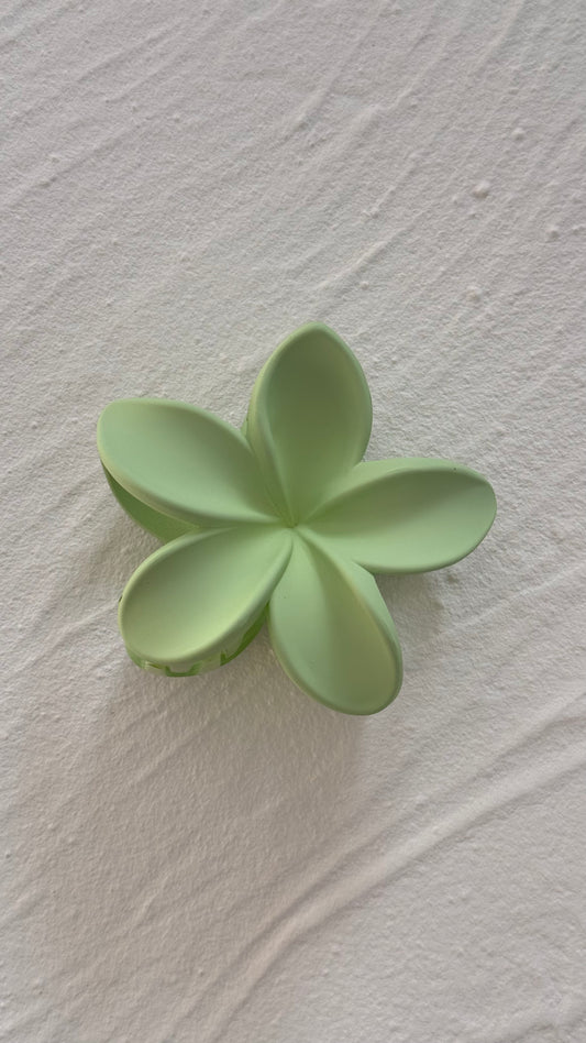 Frangipani Clip Pastel Pistachio