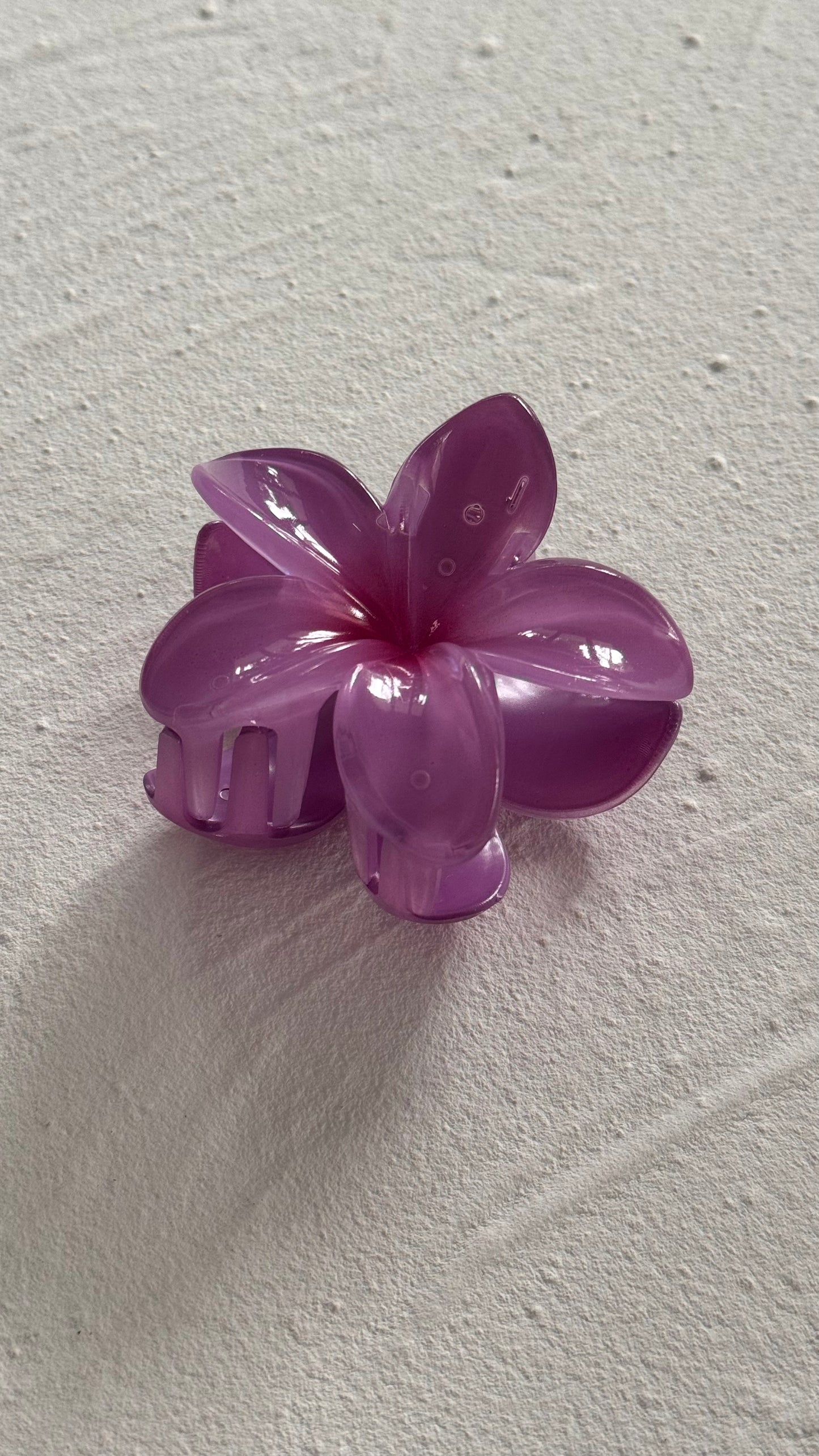 Frangipani Clip Sunset Purple