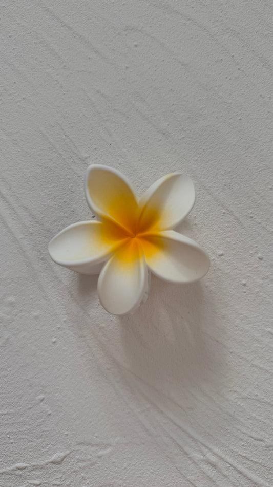 Frangipani Clip Original White/Yellow