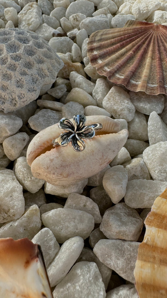 Single Frangipani Ring