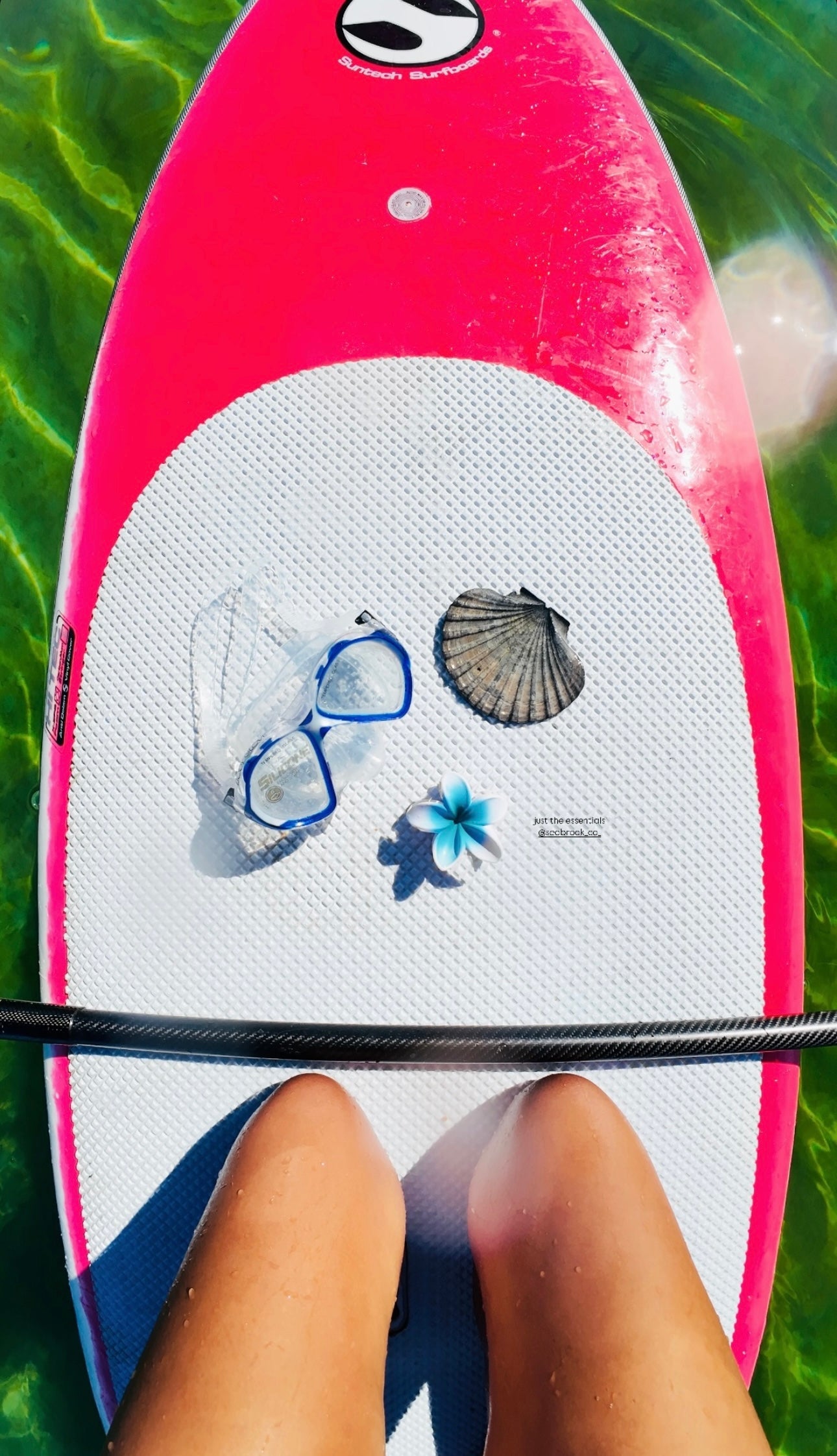 Frosted Blue Frangipani Clip