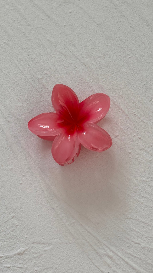 Frangipani Clip Flamingo