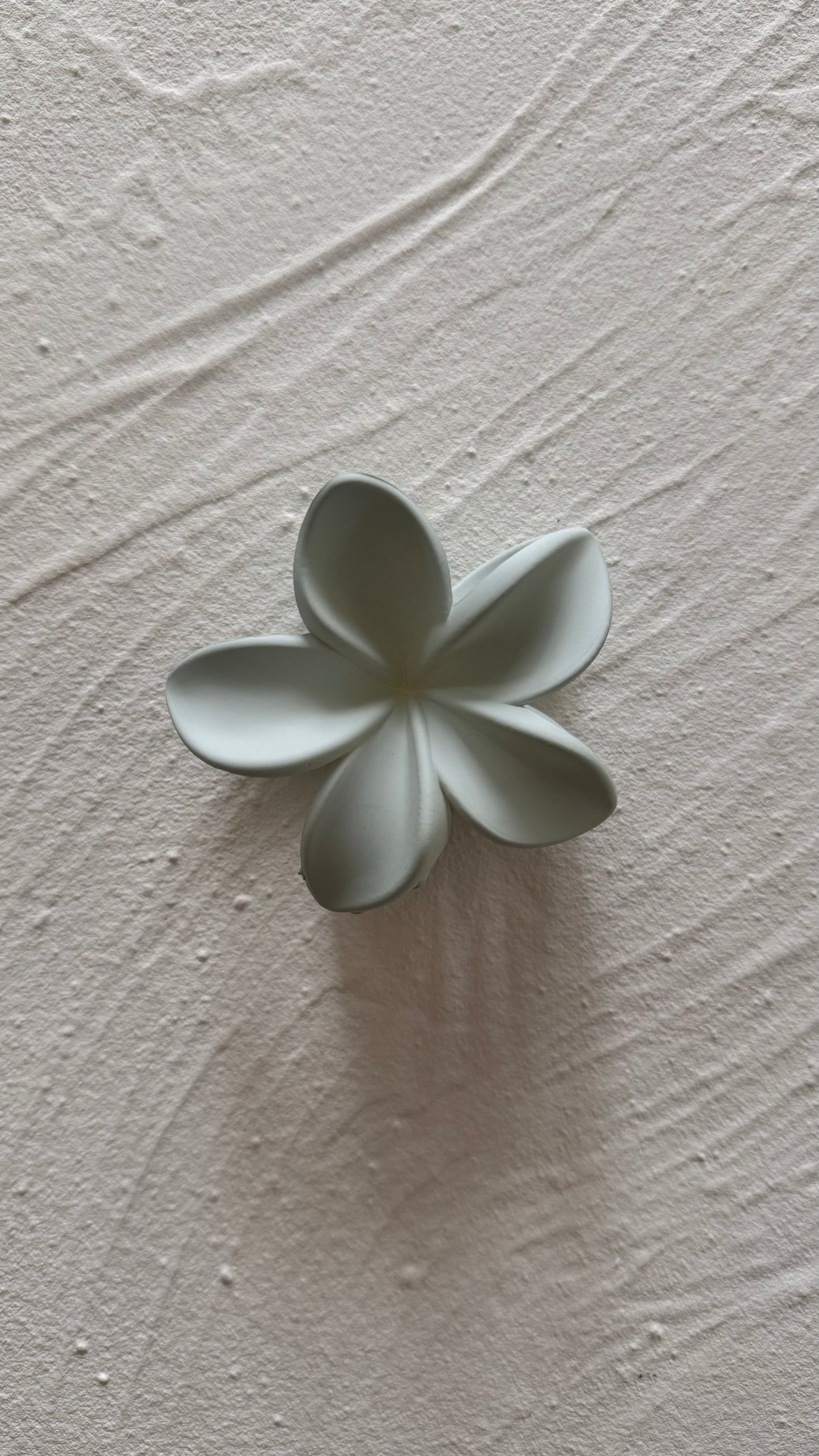 Frangipani Clip Flat Ice