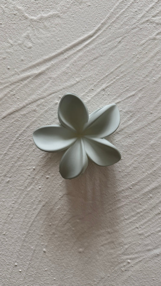Frangipani Clip Flat Ice