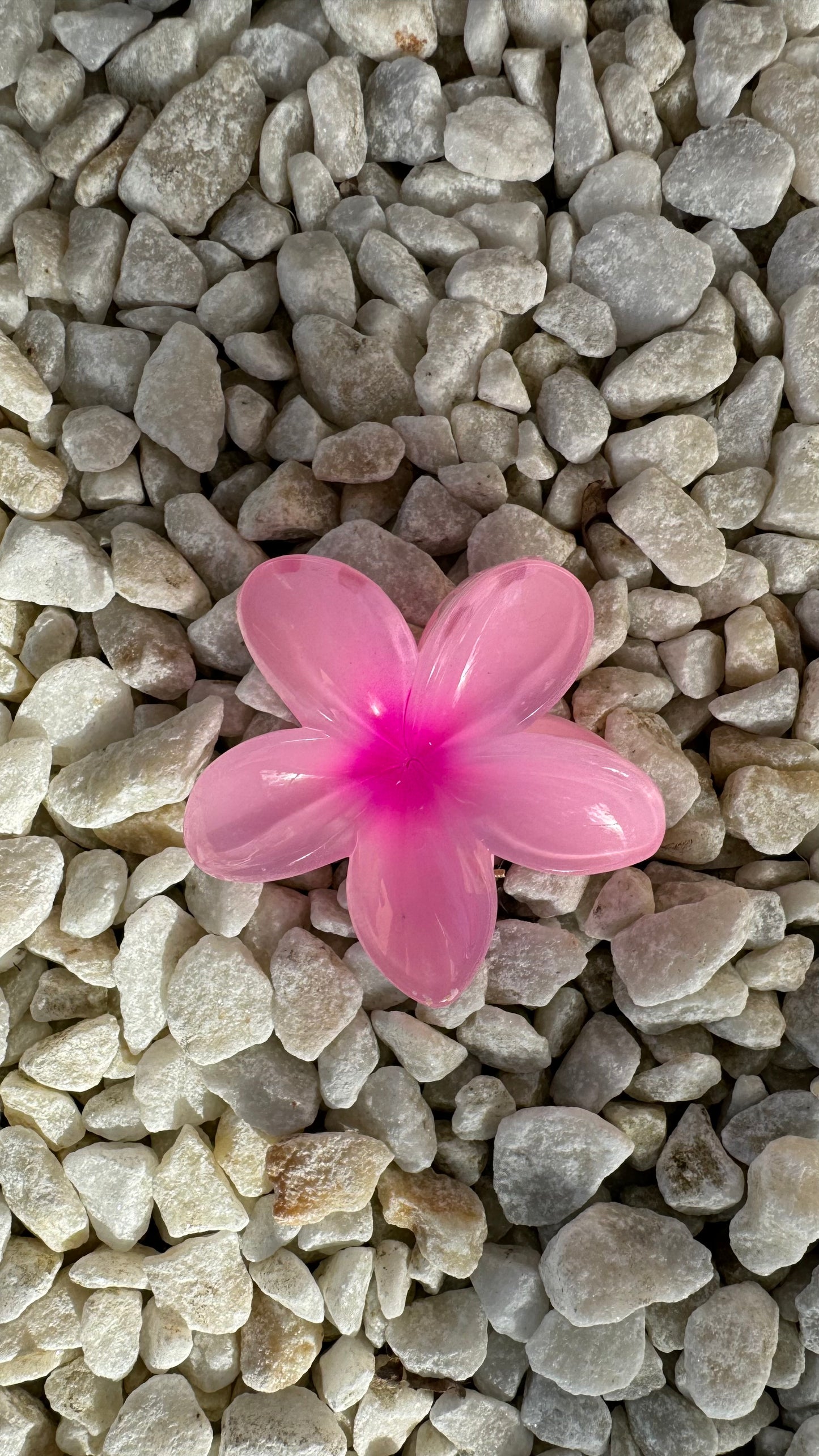 Frangipani Clip Pink