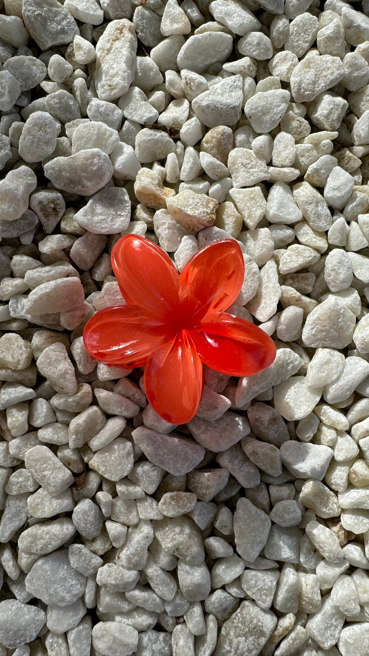 Frangipani Clip Red Orange