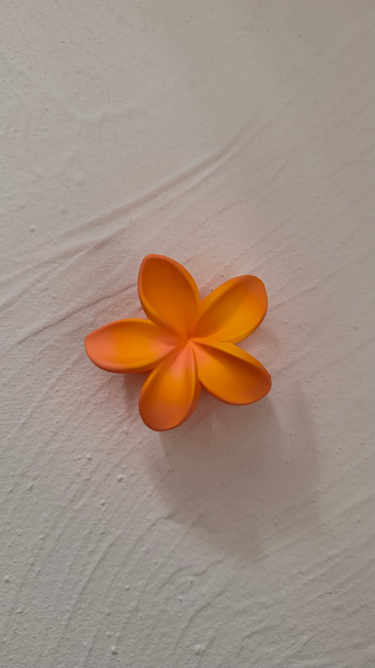 Frangipani Clip Flat Cantaloupe