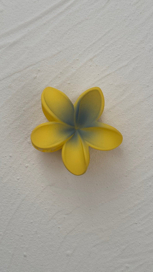 Frangipani Clip Banana Blueberry Sundae