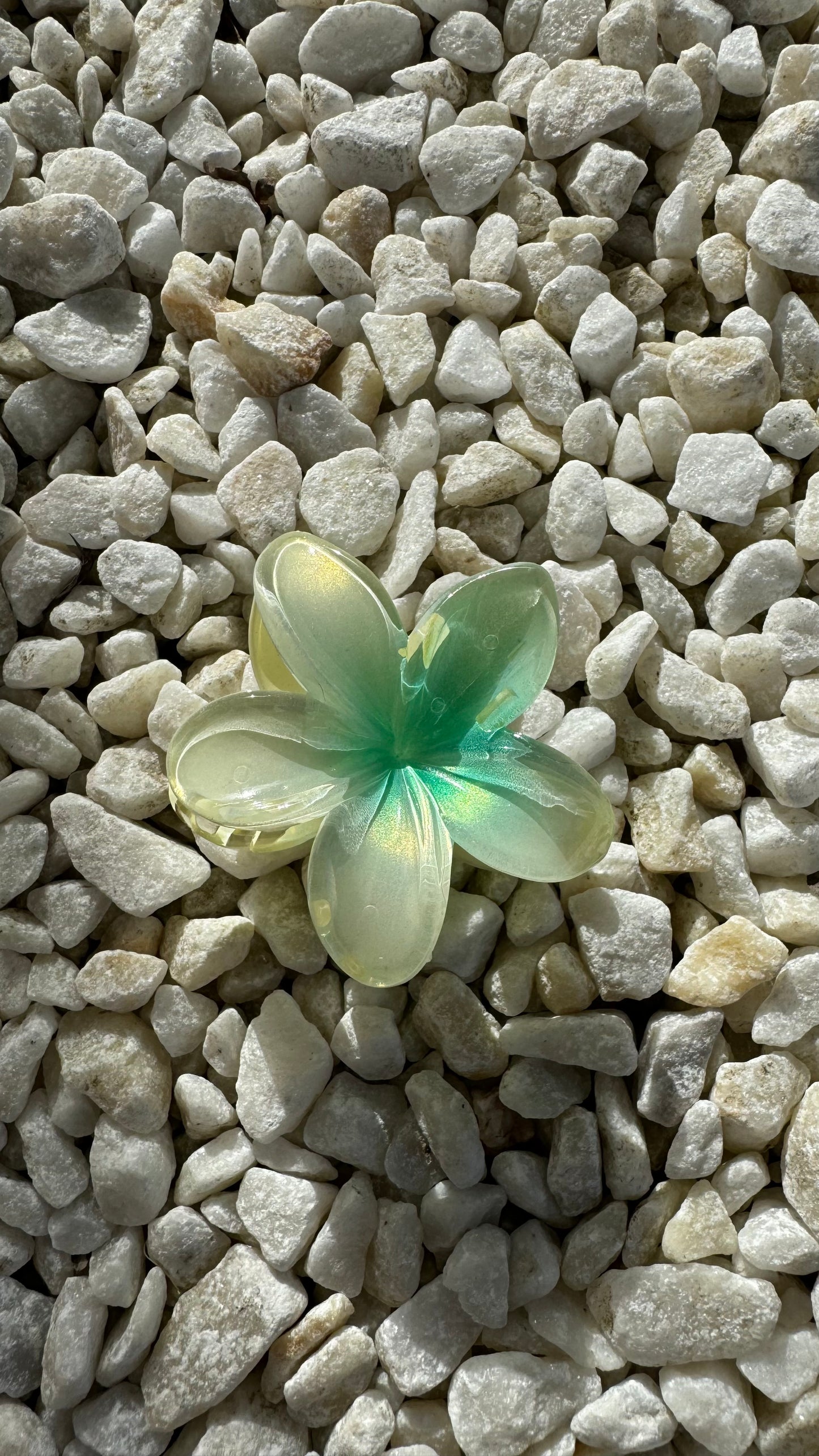 Frangipani Clip Pearl Green