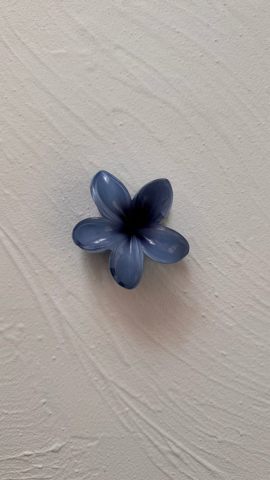 Frangipani Clip Blue Mist