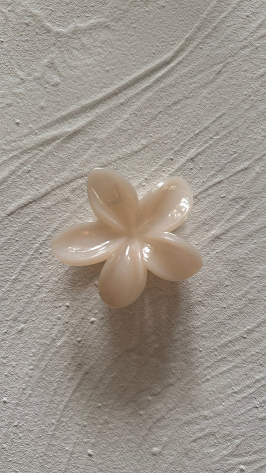 Frangipani Clip Jelly Solid Cream