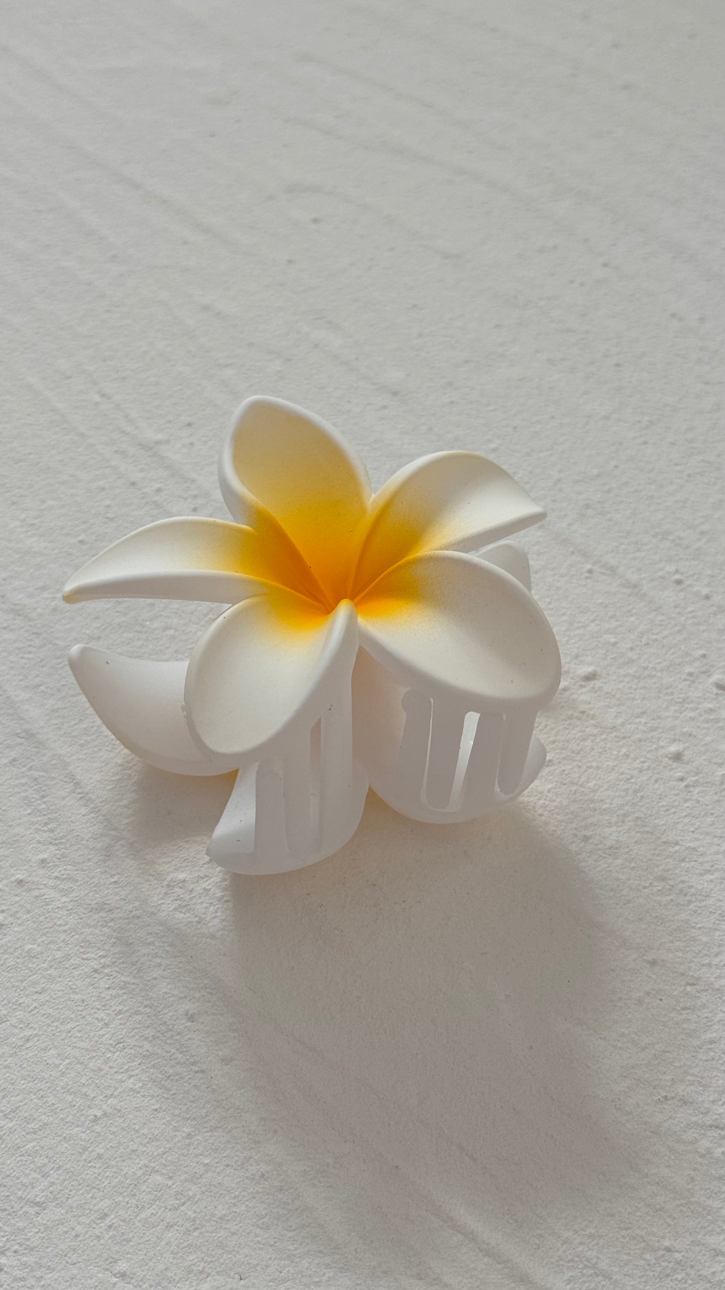 Frangipani Clip Original White/Yellow