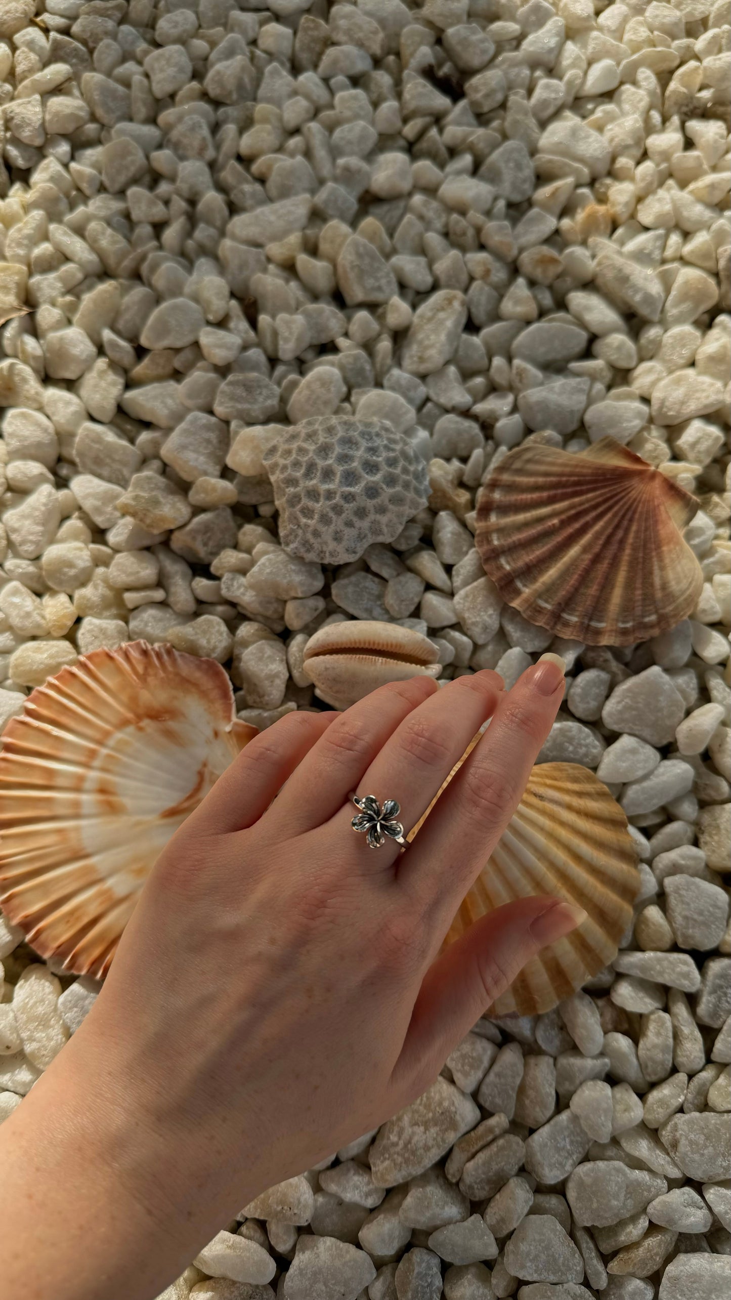 Single Frangipani Ring