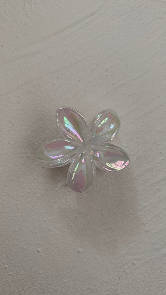 Frangipani Clip Gloss Original Iridescent
