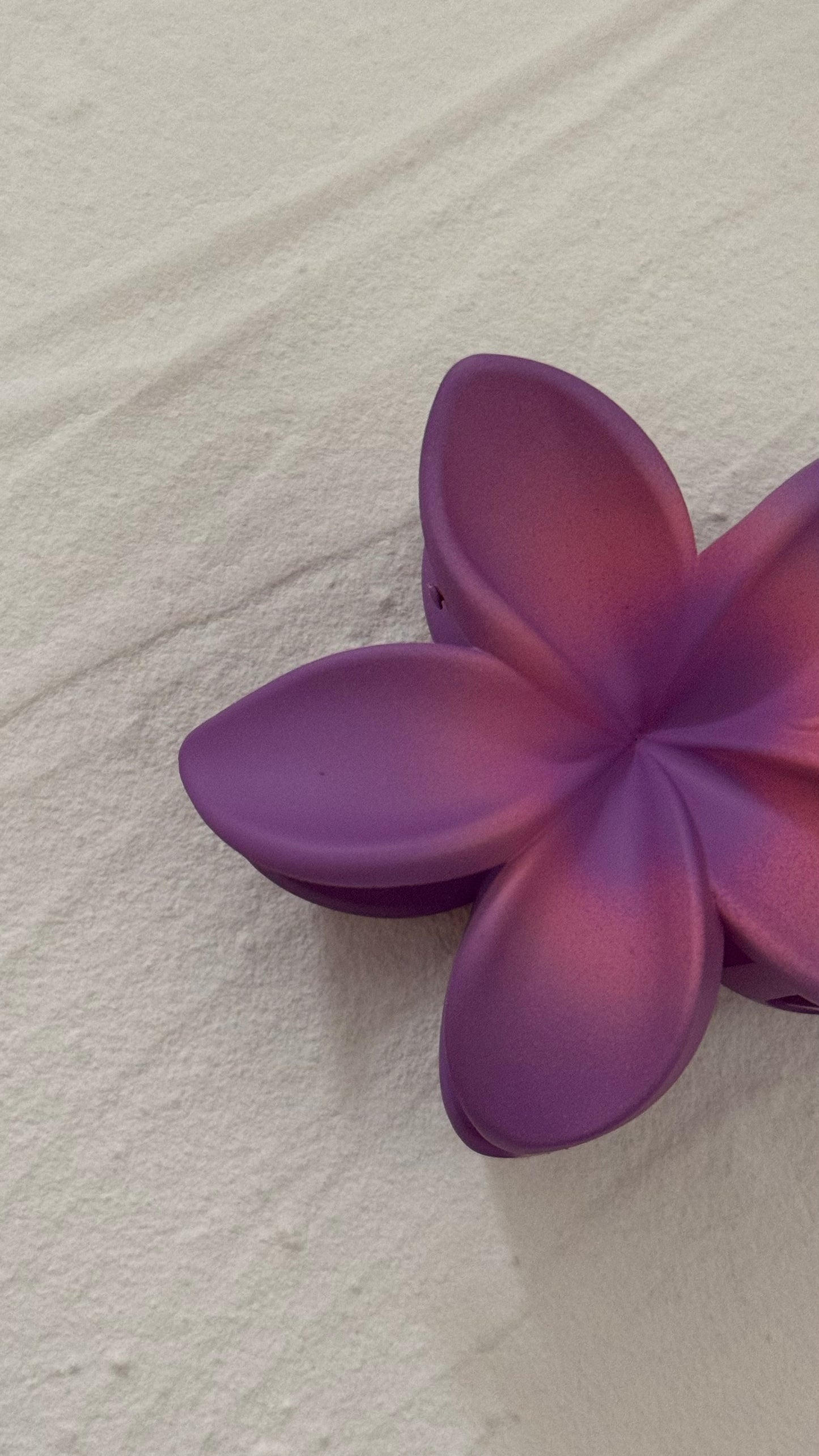 Frangipani Clip Flat Rhapsody