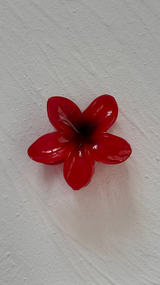 Frangipani Clip Cherry