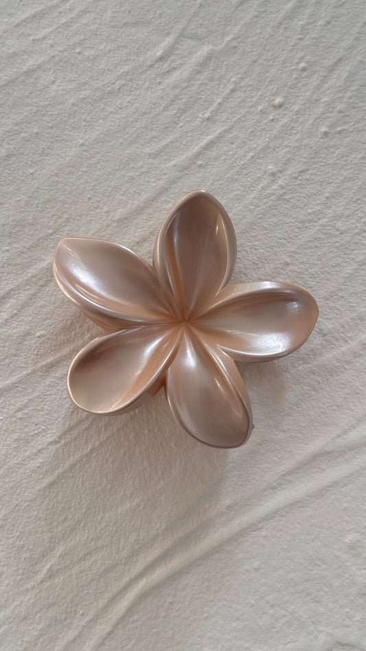 Frangipani Clip Cashmere Pearl