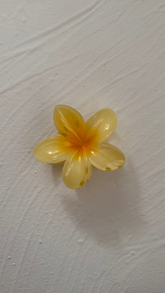 Frangipani Clip Yellow