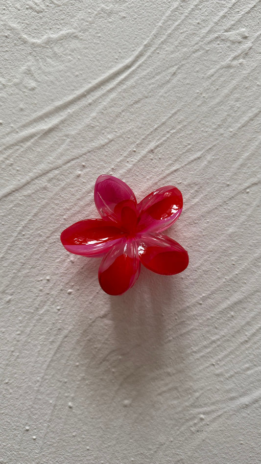 Frangipani Clip Marble Pink/Red