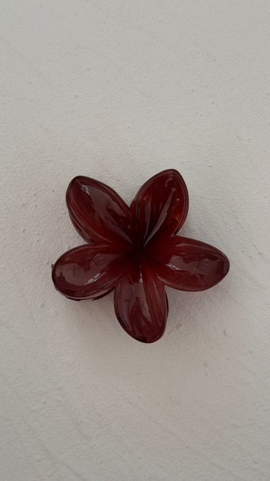 Frangipani Clip Chestnut