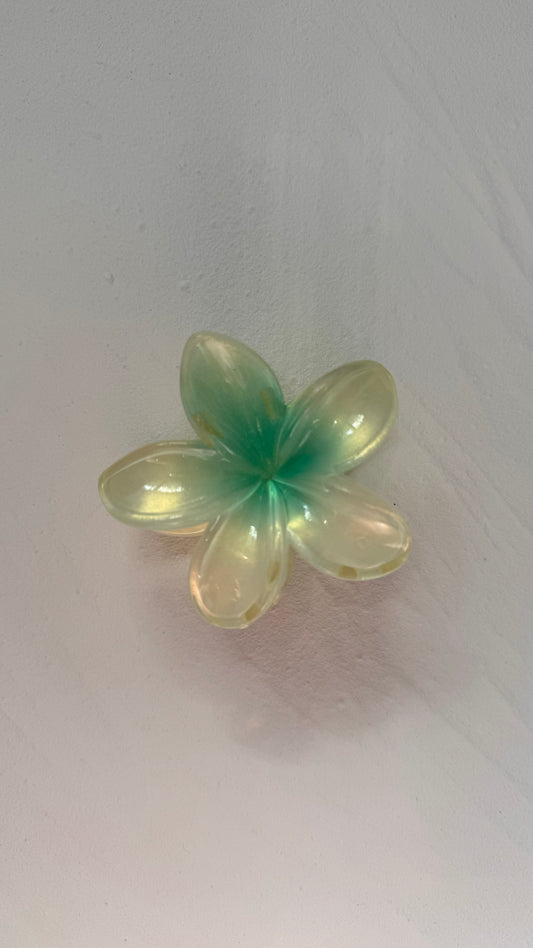 Frangipani Clip Pearl Green