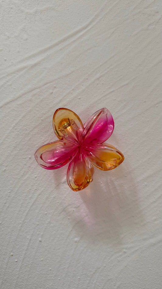 Frangipani Clip Jelly Pink Orange