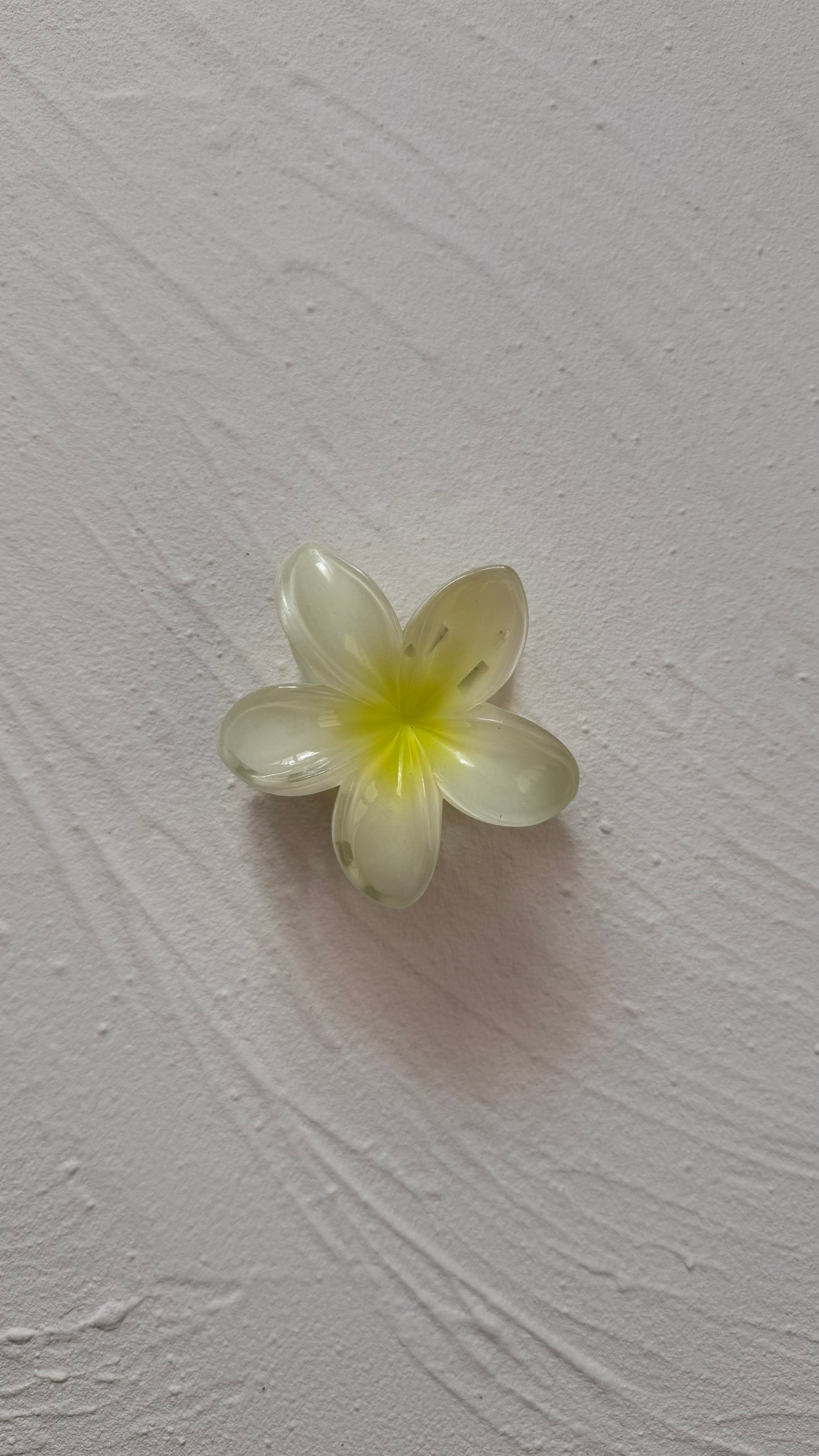 Frangipani Clip Zesty Lime