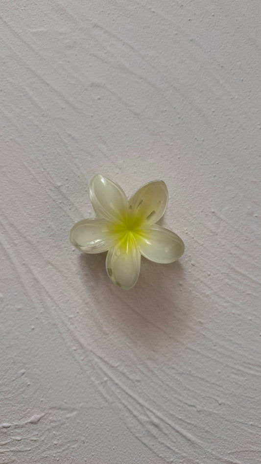 Frangipani Clip Zesty Lime