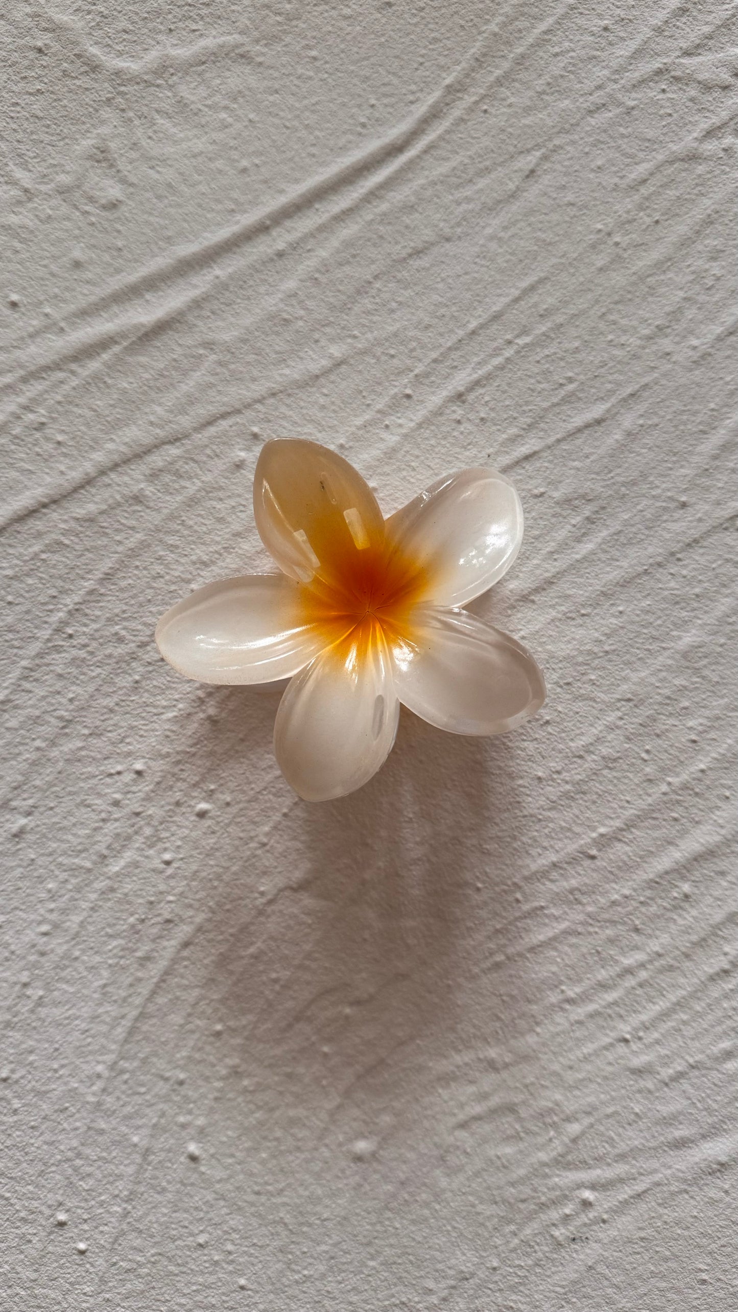 Frangipani Clip White/Burnt Yellow