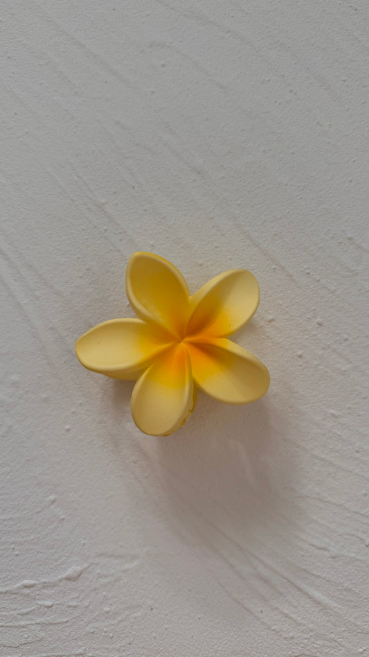 Frangipani Clip Original Yellow