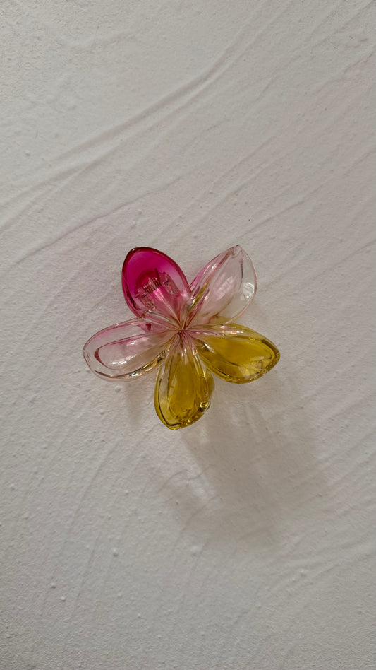 Frangipani Clip Jelly Pink Yellow
