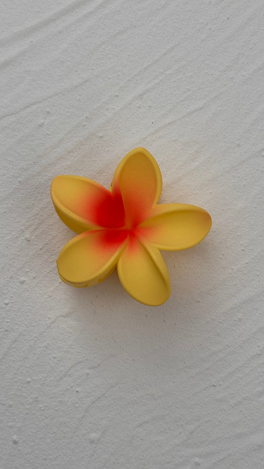 Frangipani Clip Banana Orange Sundae
