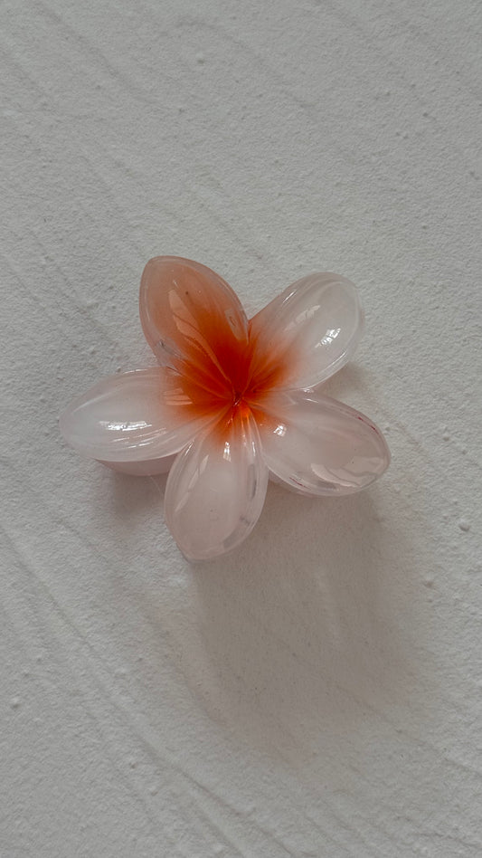 Frangipani Clip Orange White