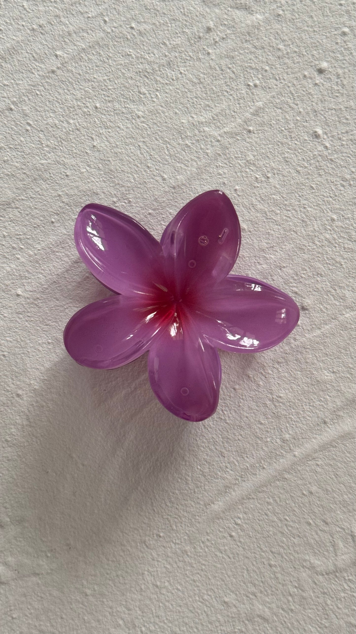 Frangipani Clip Sunset Purple
