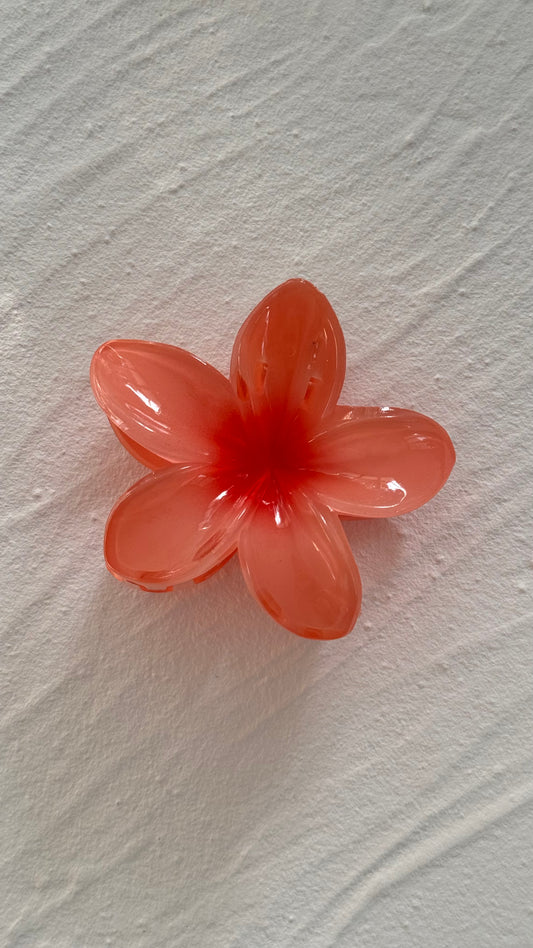 Frangipani Clip Peach Sorbet