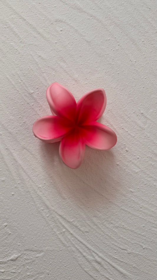 Frosted Pink Frangipani Clip