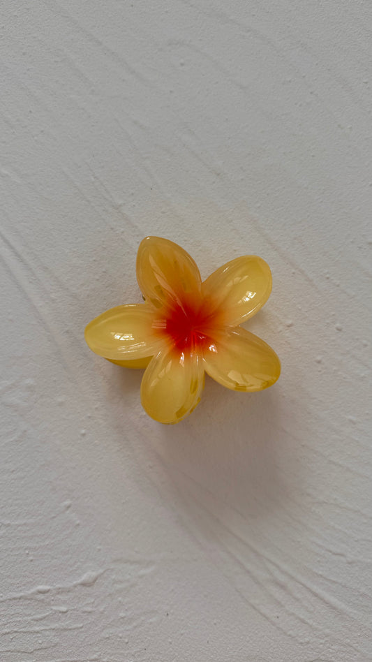 Frangipani Clip Paradise