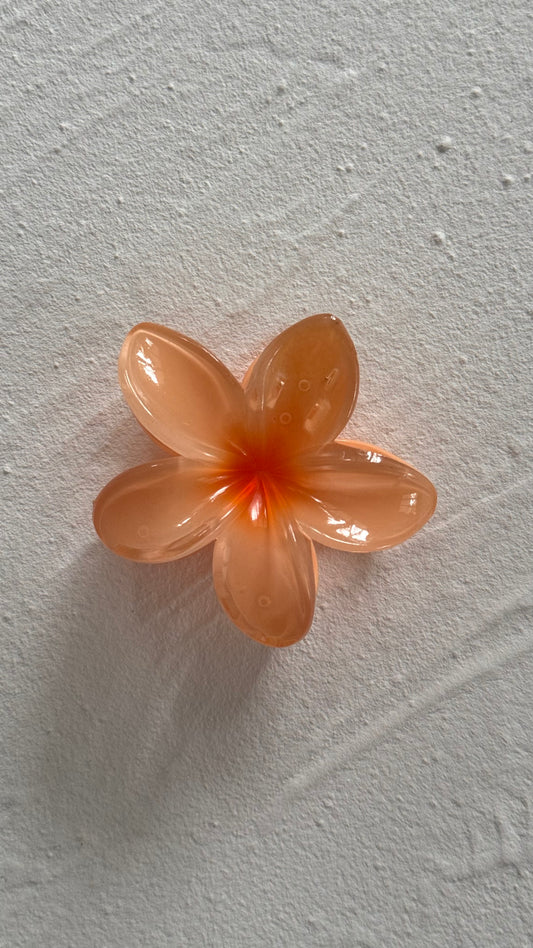 Frangipani Clip Apricot Orange