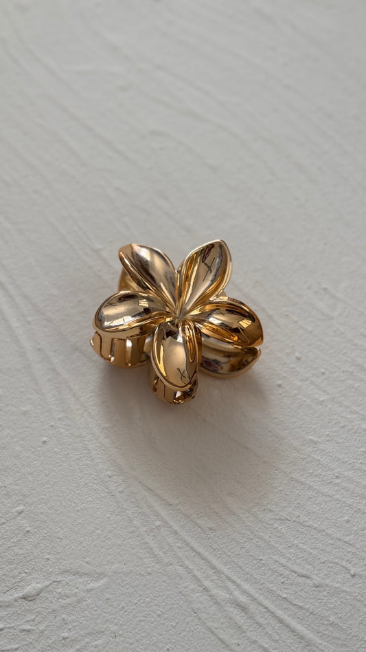 Frangipani Clip Golden