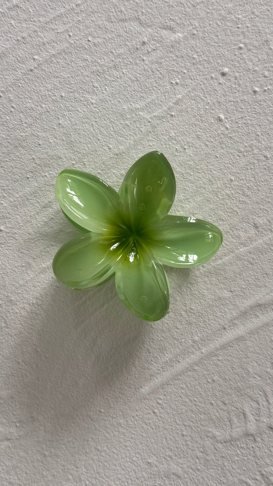 Frangipani Clip Apple
