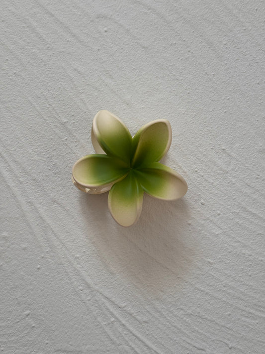 Frosted Green Frangipani Clip