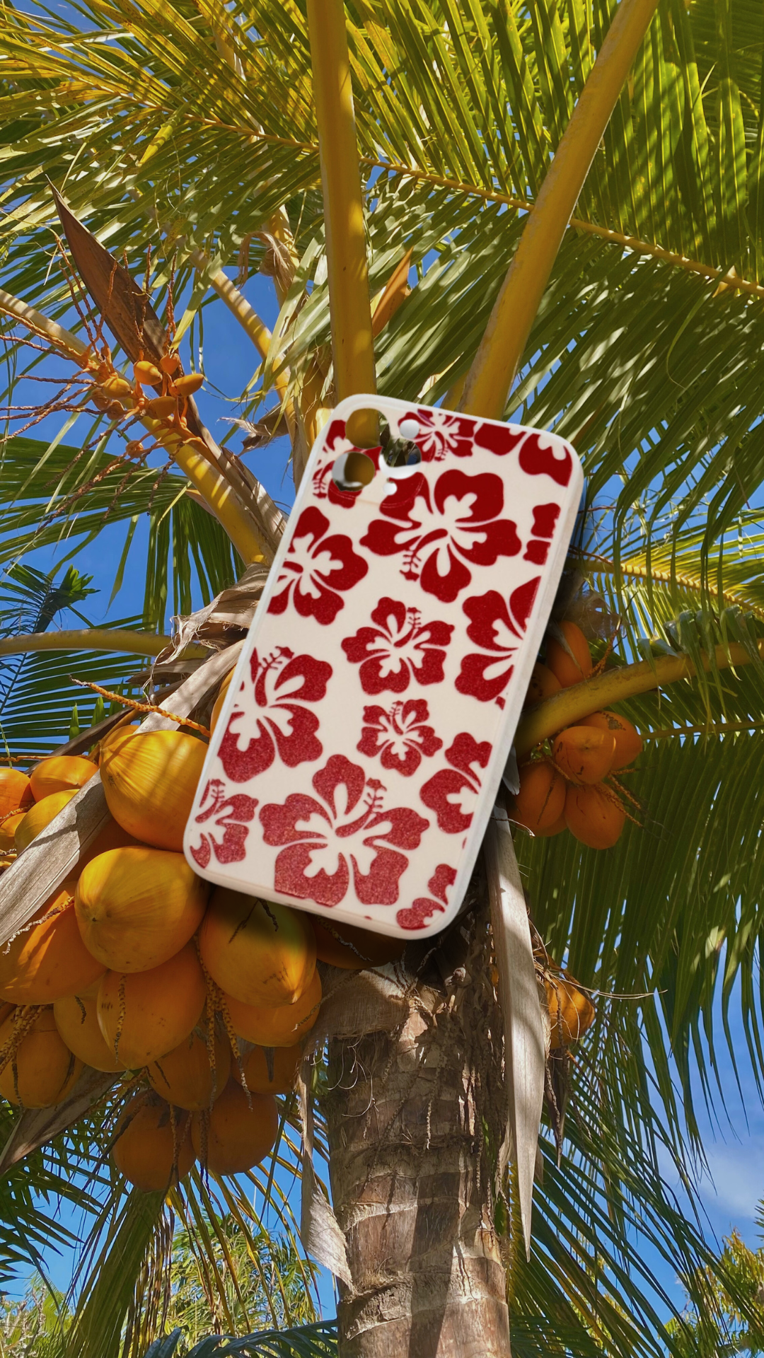 Bora Bora Phone Case