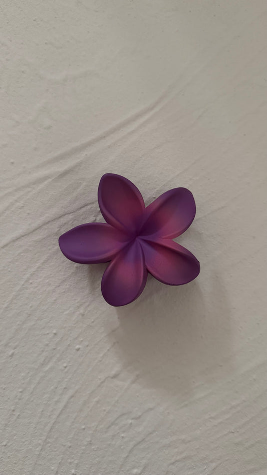 Frangipani Clip Flat Rhapsody